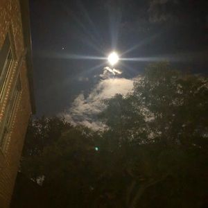 Meet your Posher, Mildred